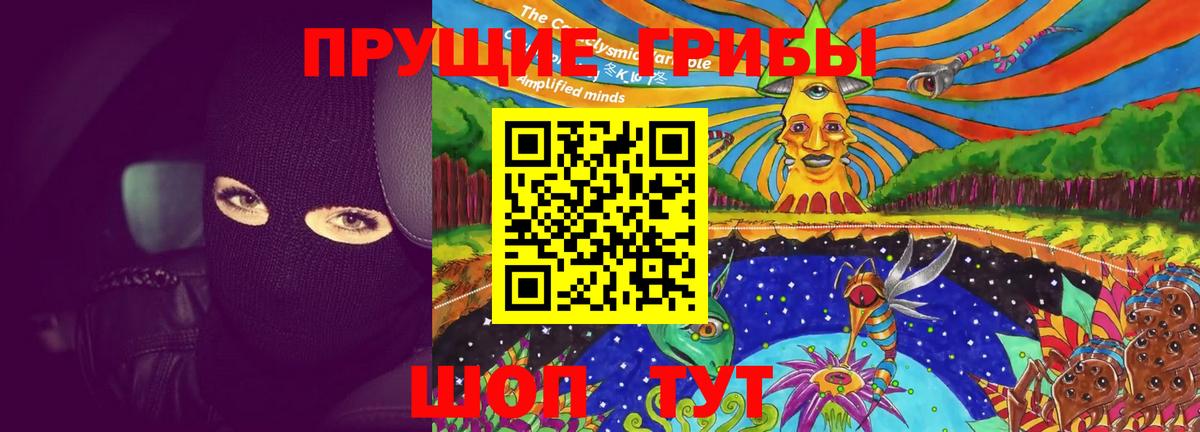 Вышний Волочёк  Псилоцибиновые грибы мицелий  купить   Вход с VPN 